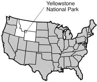 CARTA USA