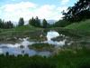Yellowstone - beaver ponds
