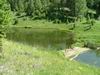 Yellowstone - beaver ponds