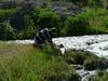 Yellowstone - Boling River