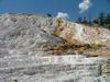 Yellowstone - Mammoth Hot Springs