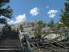 Yellowstone - Mammoth Hot Springs