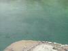 Yellowstone - Norris Geyser Basin