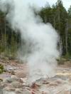 Yellowstone - Norris Geyser Basin