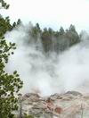 Yellowstone - Norris Geyser Basin