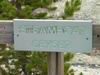 Yellowstone - Norris Geyser Basin