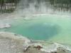 Yellowstone - Norris Geyser Basin