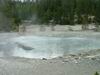 Yellowstone - Norris Geyser Basin