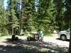 Shoshone Forest