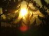 Yellowstone - tramonto - Sunset