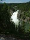 Yellowstone - Upper Falls